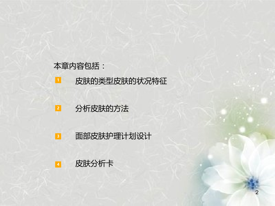 面部皮肤护理计划相关设计PPT课件.ppt_第2页