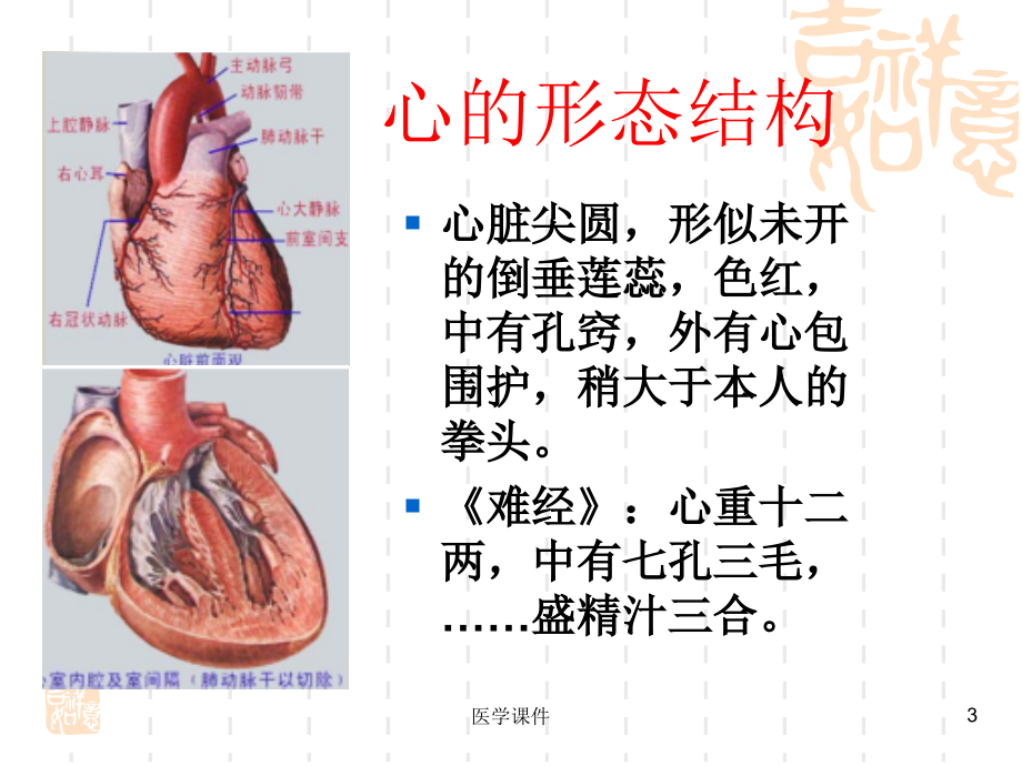 《中医基础理论》藏象课件_第3页