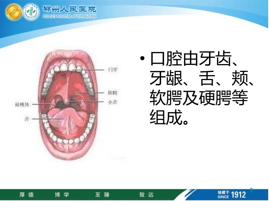 口腔护理技术58078PPT课件.ppt_第3页