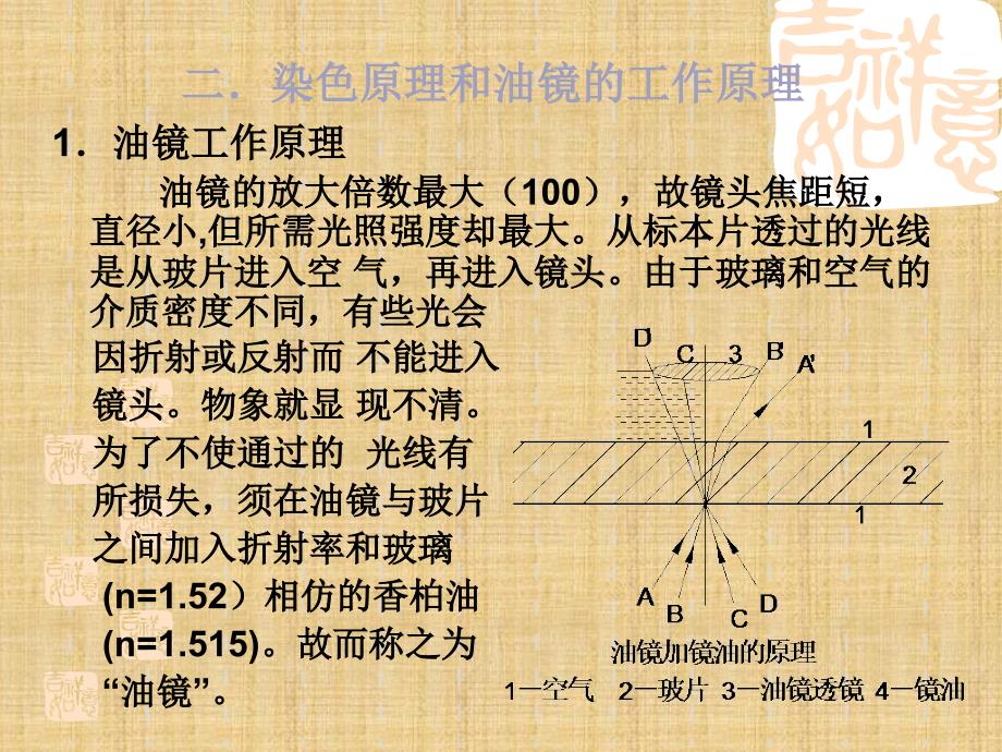 精编制作油镜使用及革兰氏染色PPT课件_第3页