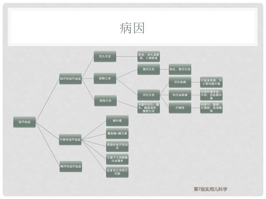 低钾血症16616PPT课件.ppt_第4页