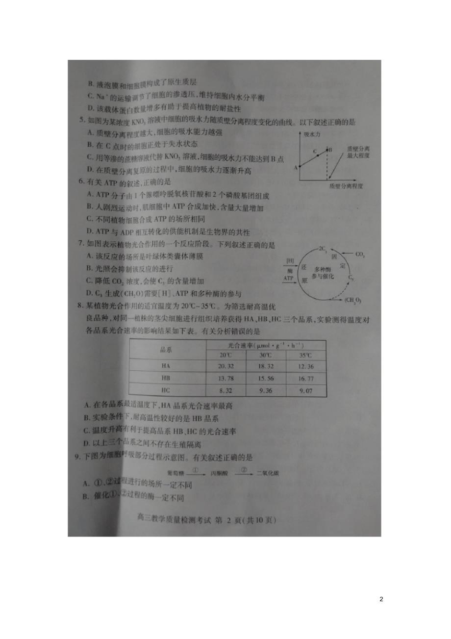 山东省临沂市高三生物上学期教学质量检测考试试题(扫描版无答案).pdf_第2页