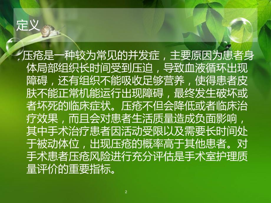 压疮评估表的解析PPT课件.ppt_第2页