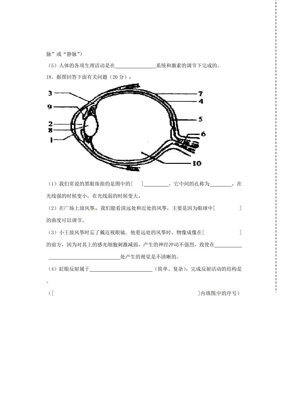 辽宁省大石桥市七年级生物下学期期末试题新人教版_第5页