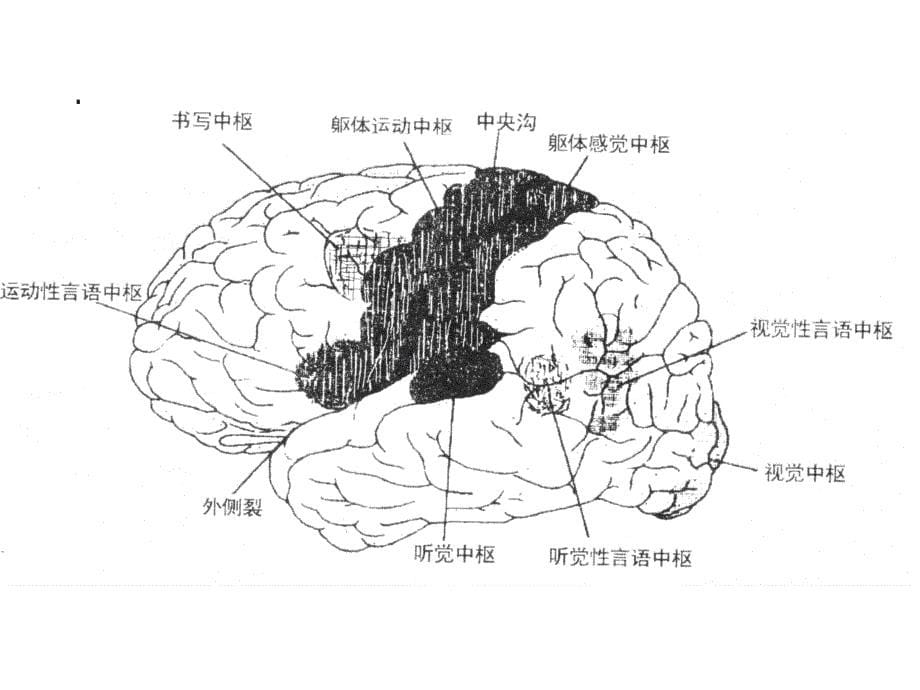 普通心理学(8910章_第5页