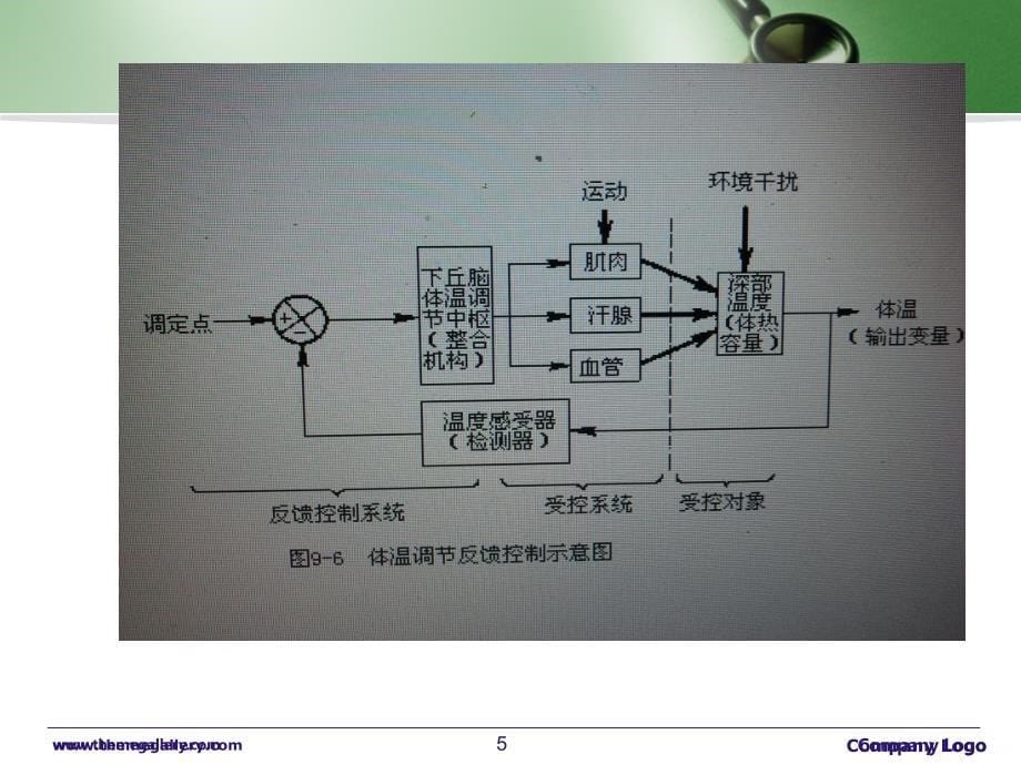 发热的护理98139PPT课件.ppt_第5页