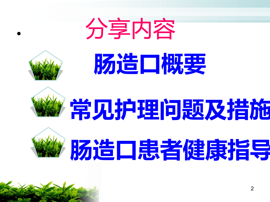 肠造口护理技巧PPT课件.ppt_第2页