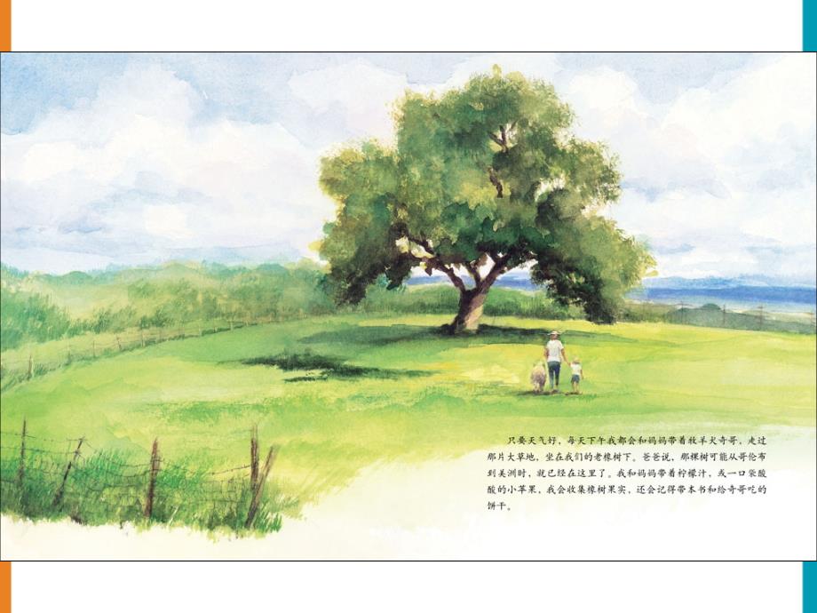 儿童故事绘本《艾莉丝的树》_第4页