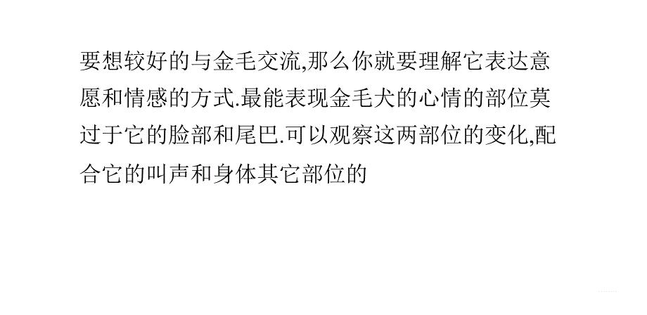 如何与金毛狗狗沟通PPT课件.ppt_第1页