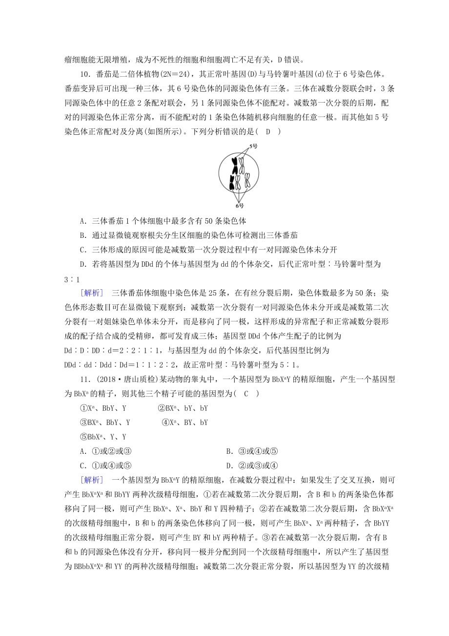 高考生物大二轮复习专题五细胞的生命历程练案_第4页