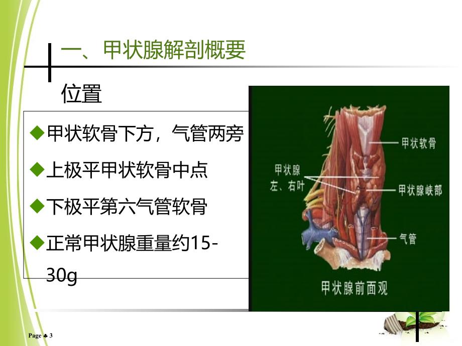 颈部疾病患者的护理 护理课程PPT课件.ppt_第3页