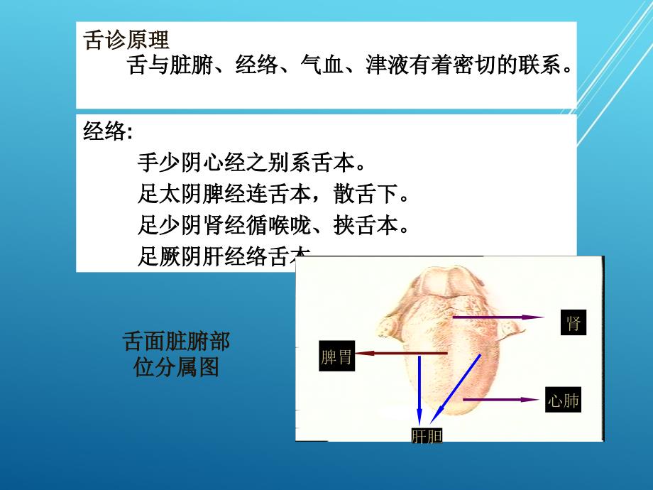 中医护理学舌诊PPT课件.ppt_第3页