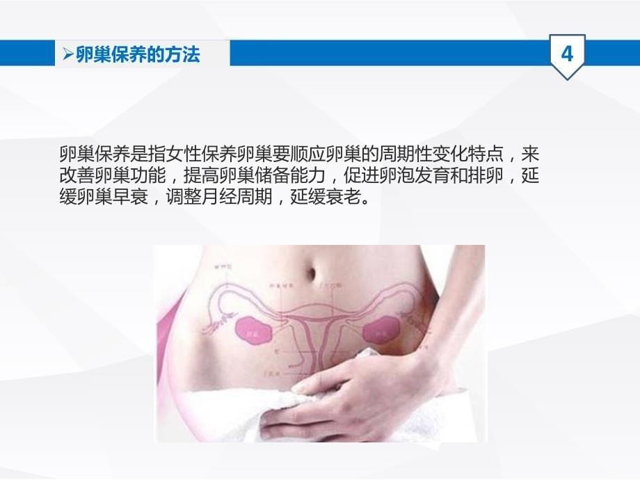 卵巢的生理功能及保养方法PPT课件.ppt_第5页