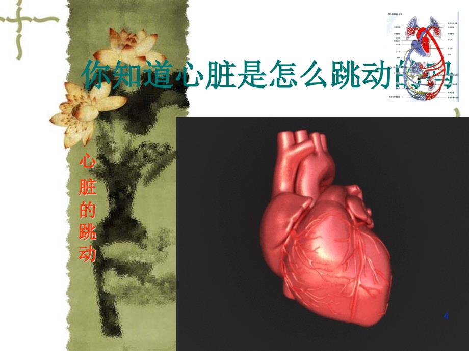 苏教版五年级科学上册心脏与血液循环ppt课件.ppt_第4页