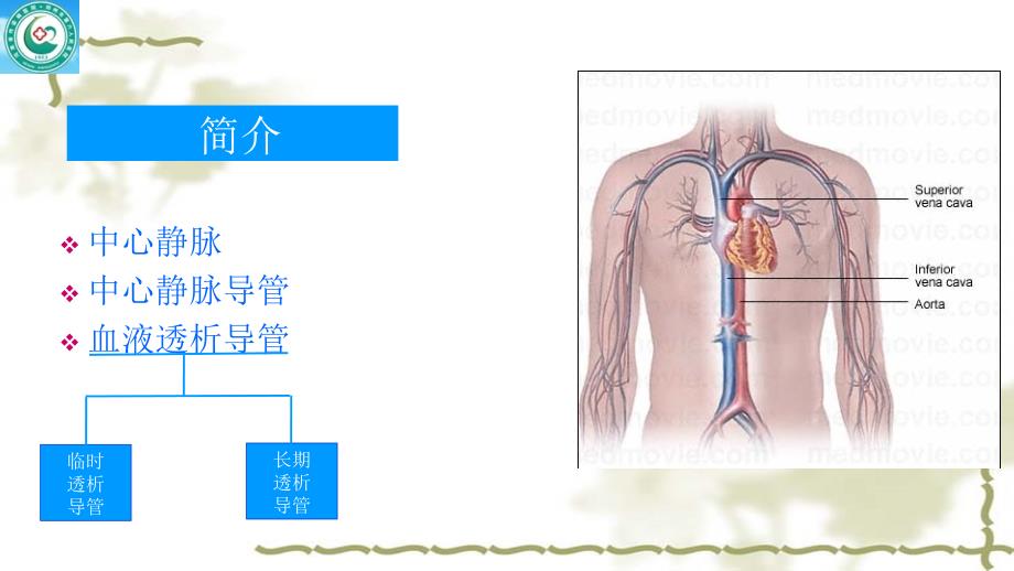 血液透析中心静脉导管ppt课件.ppt_第3页