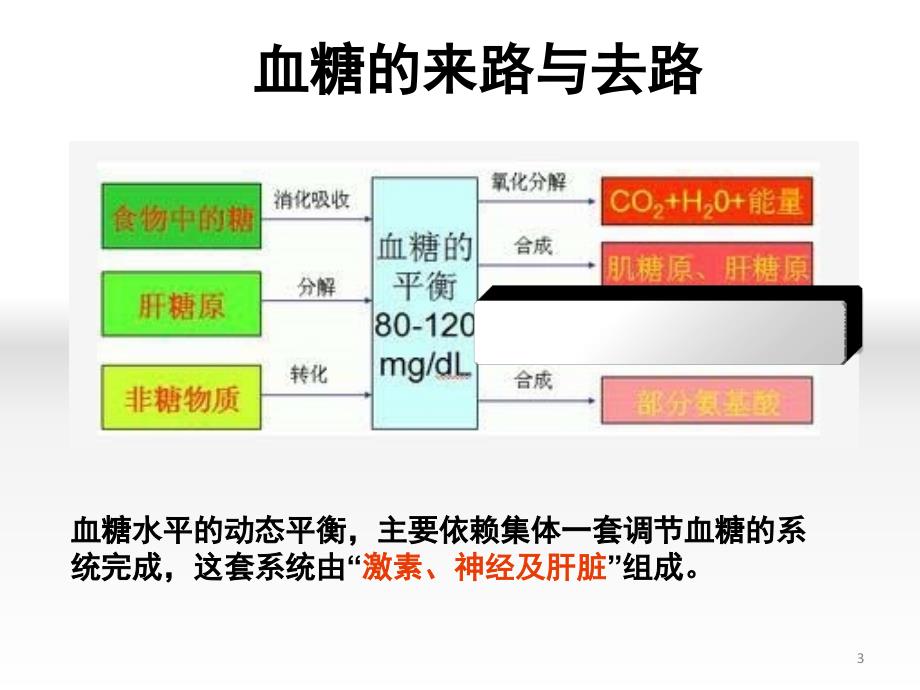 影响血糖水平激素的作用机制ppt课件.ppt_第3页