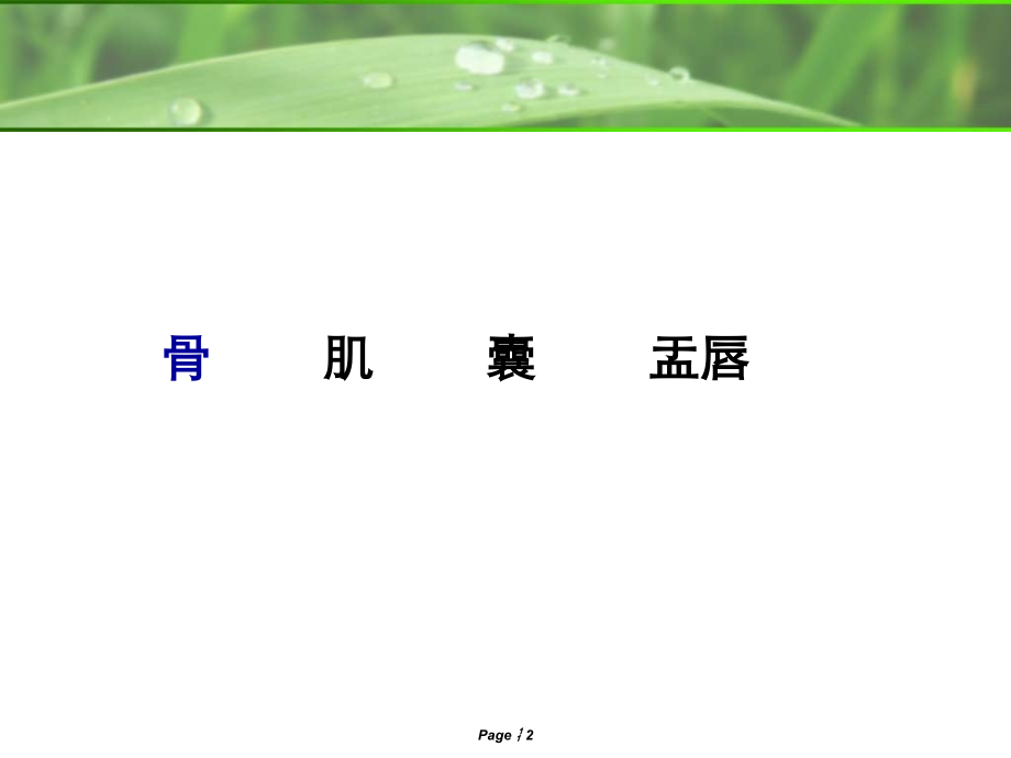 肩关节MRI解剖ppt课件.ppt_第2页