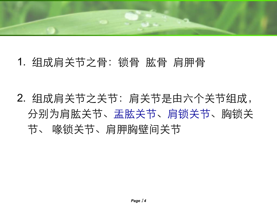 肩关节MRI解剖ppt课件.ppt_第4页