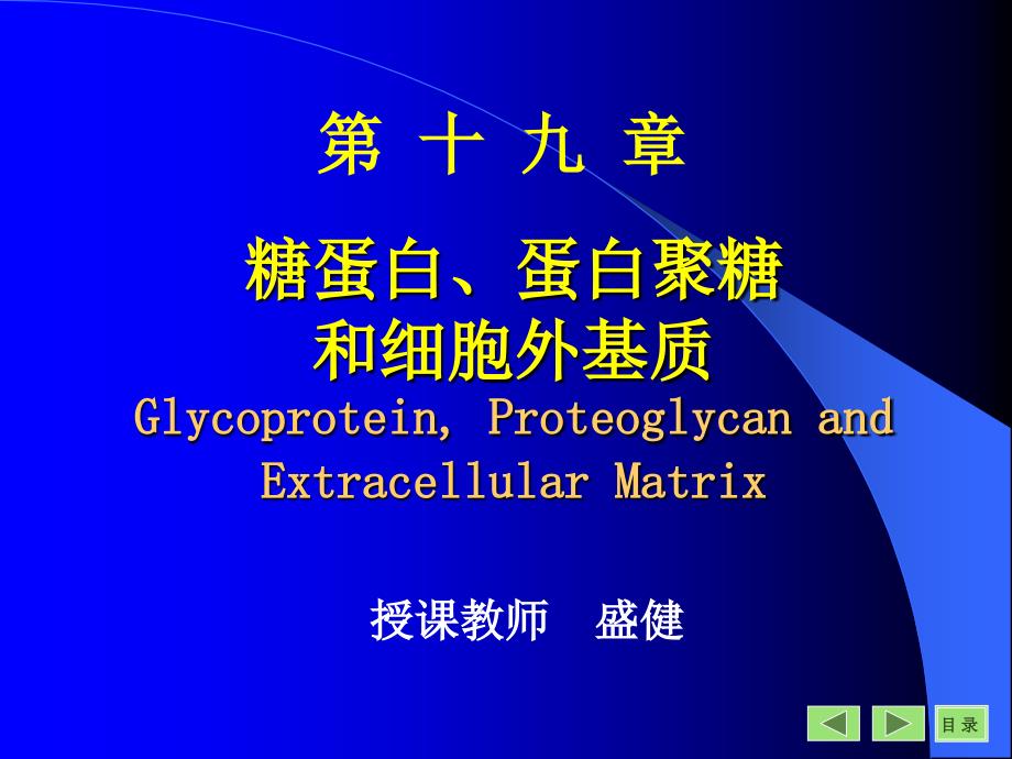 糖蛋白ppt课件.ppt_第1页