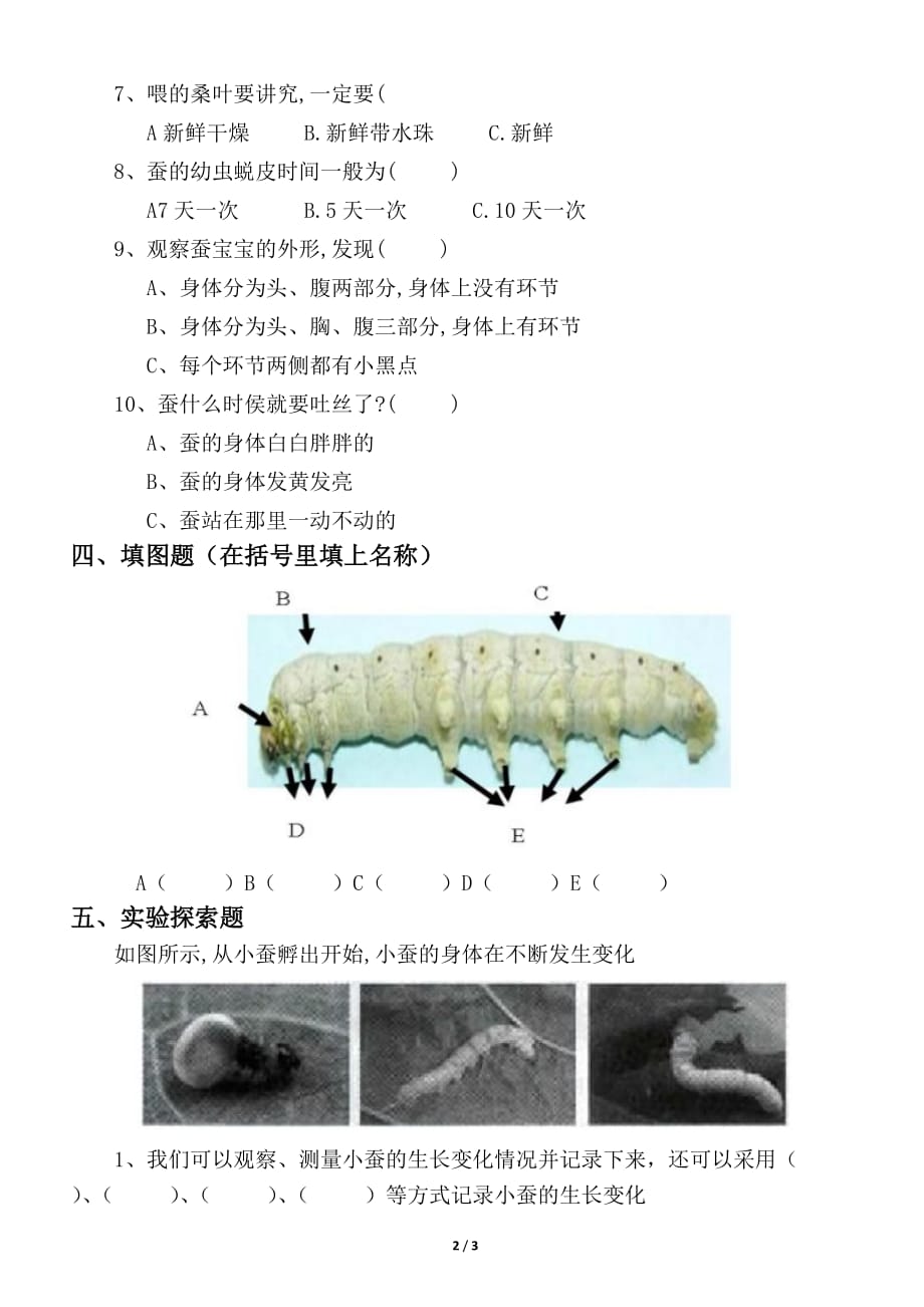 2020教科版小学科学三年级下册第二单元动物的一生《蚕长大了》试题_第2页