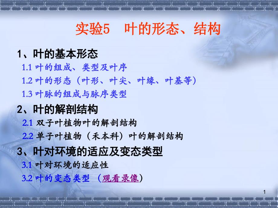 实验叶的形态与结构ppt课件.ppt_第1页