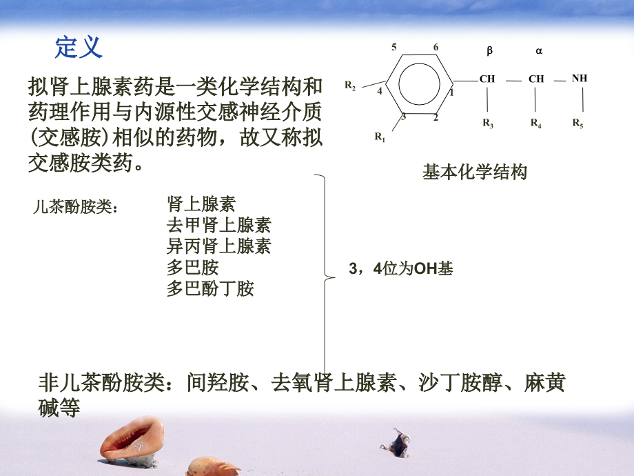 肾上腺素受体激动药1ppt课件.ppt_第3页