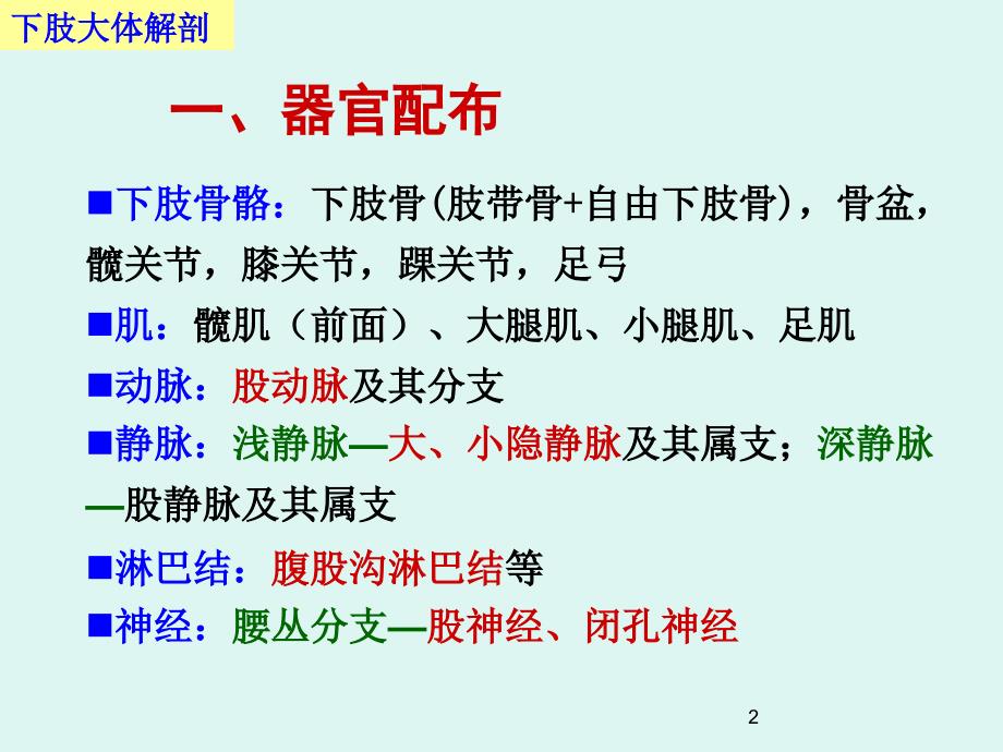 下肢前面小结ppt课件.ppt_第2页