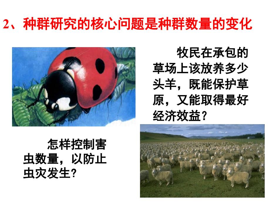 种群的特征优秀上课专用ppt课件.ppt_第4页