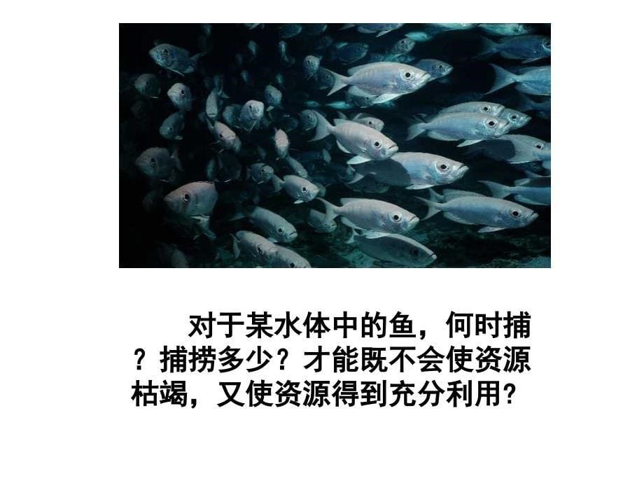 种群的特征优秀上课专用ppt课件.ppt_第5页