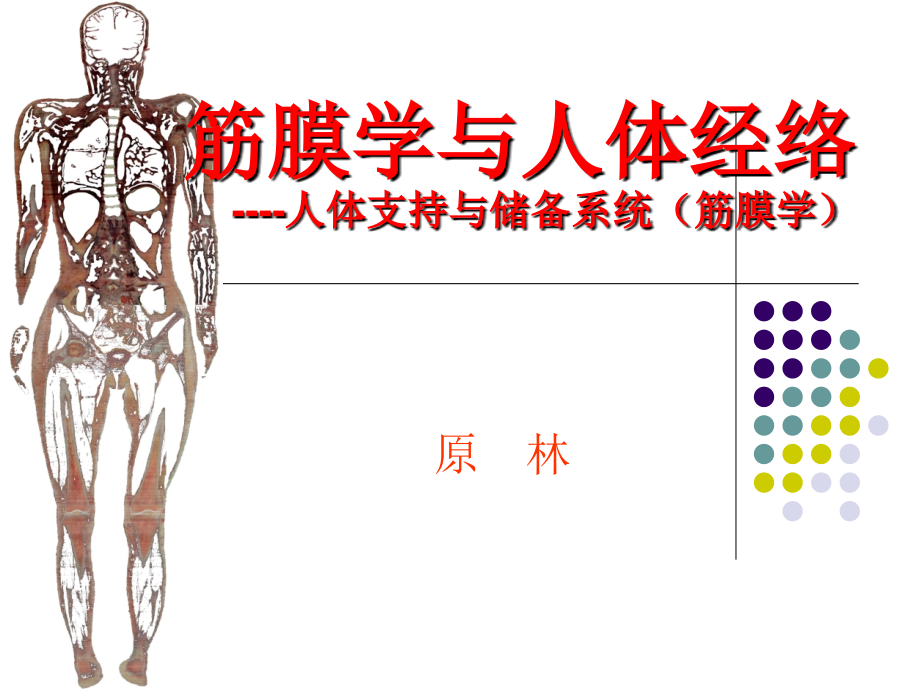 中医学理论筋膜学与人体经络ppt课件.ppt_第1页