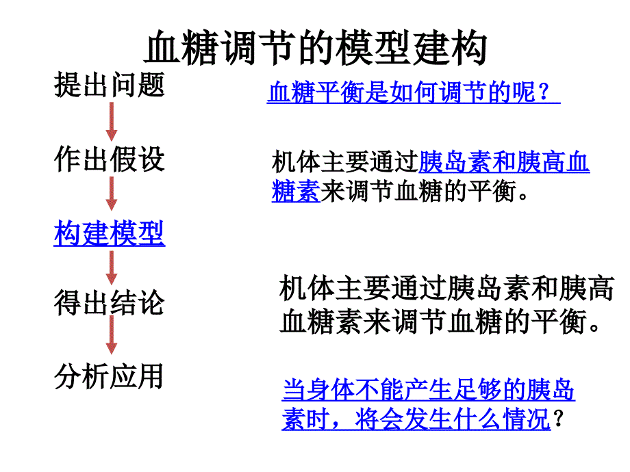 血糖调节的模型建构ppt课件.ppt_第4页