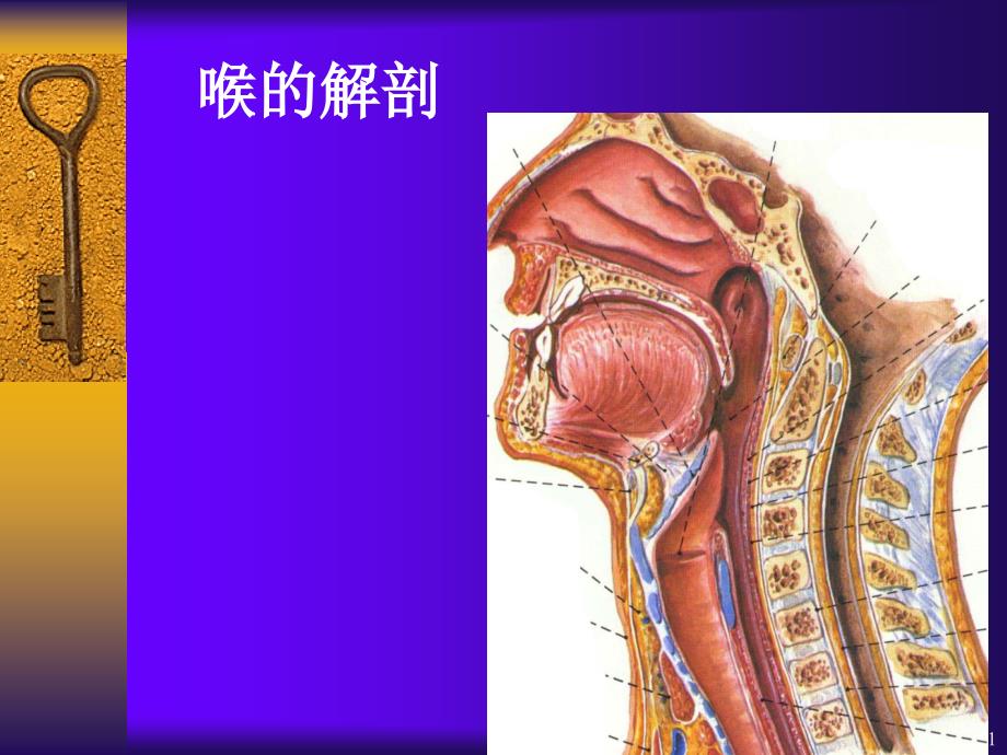 喉部的CT解剖ppt课件.ppt_第1页