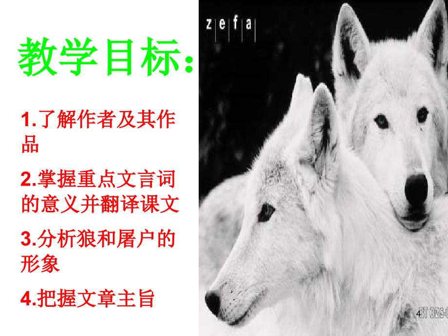 狼完整版ppt课件.ppt_第4页