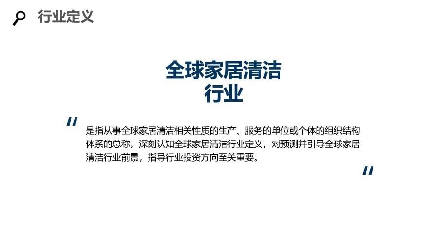 2020全球家居清洁行业分析调研报告_第5页