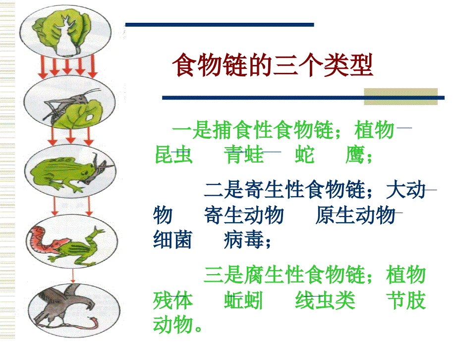 7. 保护神奇的地球生物圈_第3页