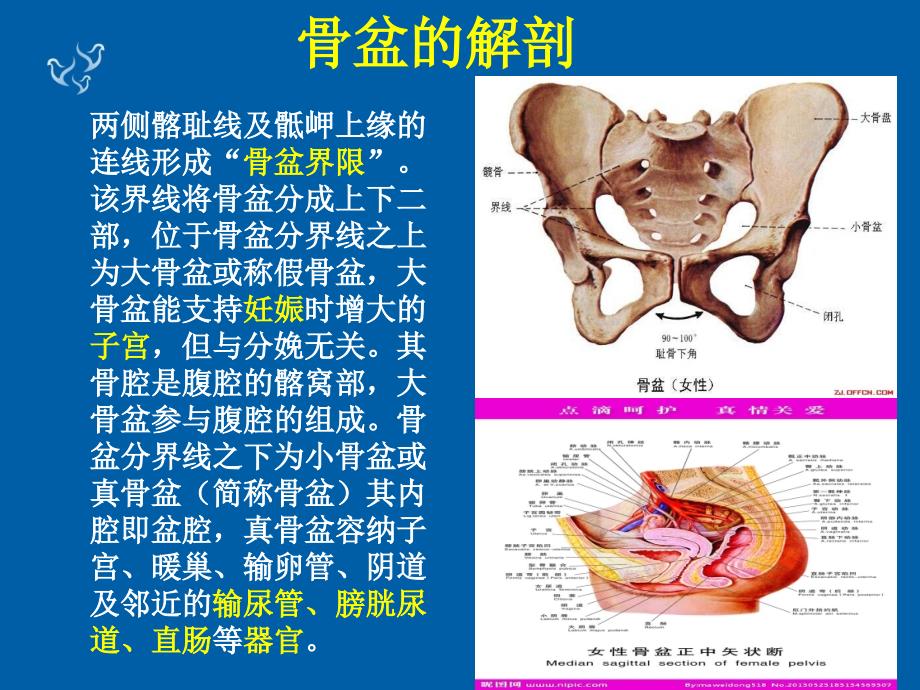 骨盆骨折手术及护理ppt课件.ppt_第4页