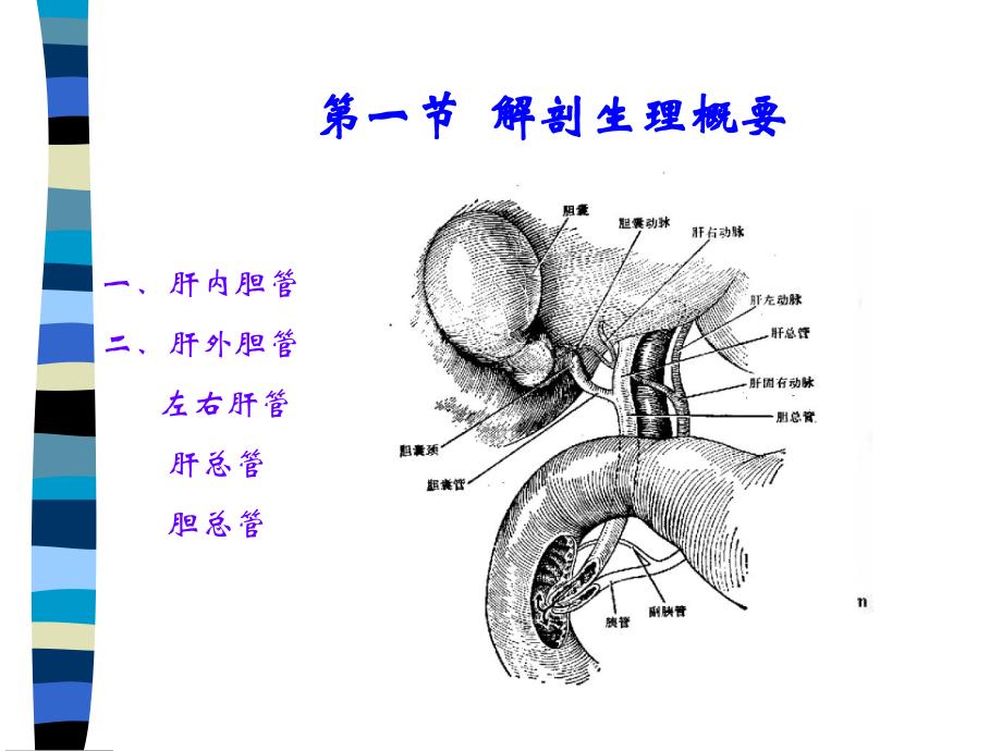 胆道疾病的护理ppt课件.ppt_第3页