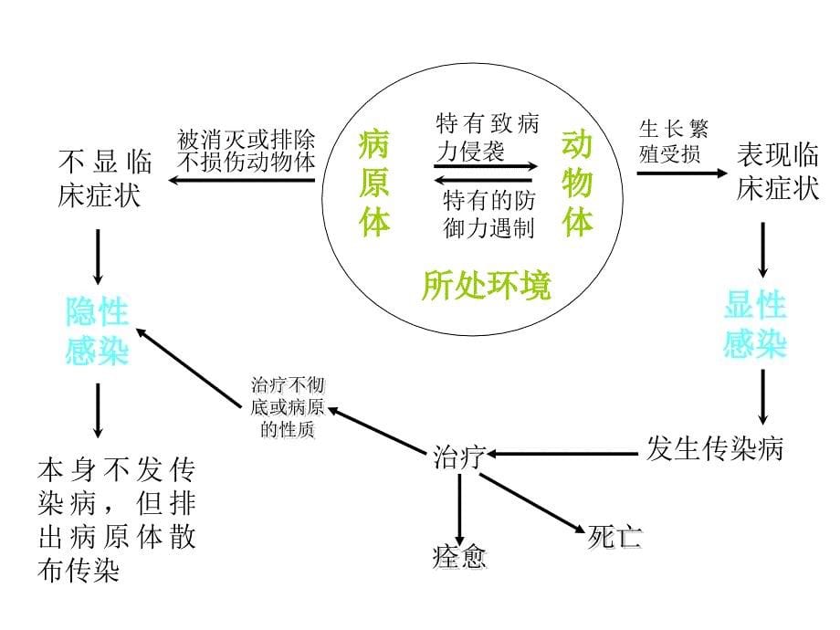 传染病的传染过程及流行过程ppt课件.ppt_第5页