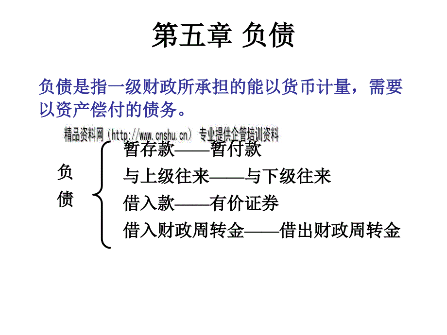 财政总预算会计之负债(ppt 27页)_第2页