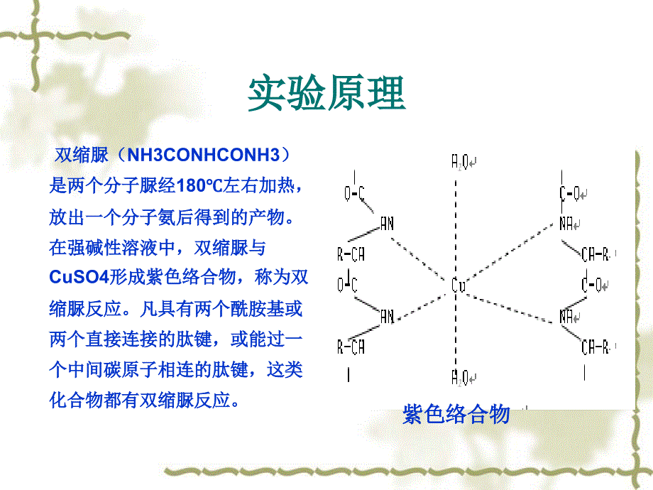 实验三双缩脲法蛋白质含量测定_第3页