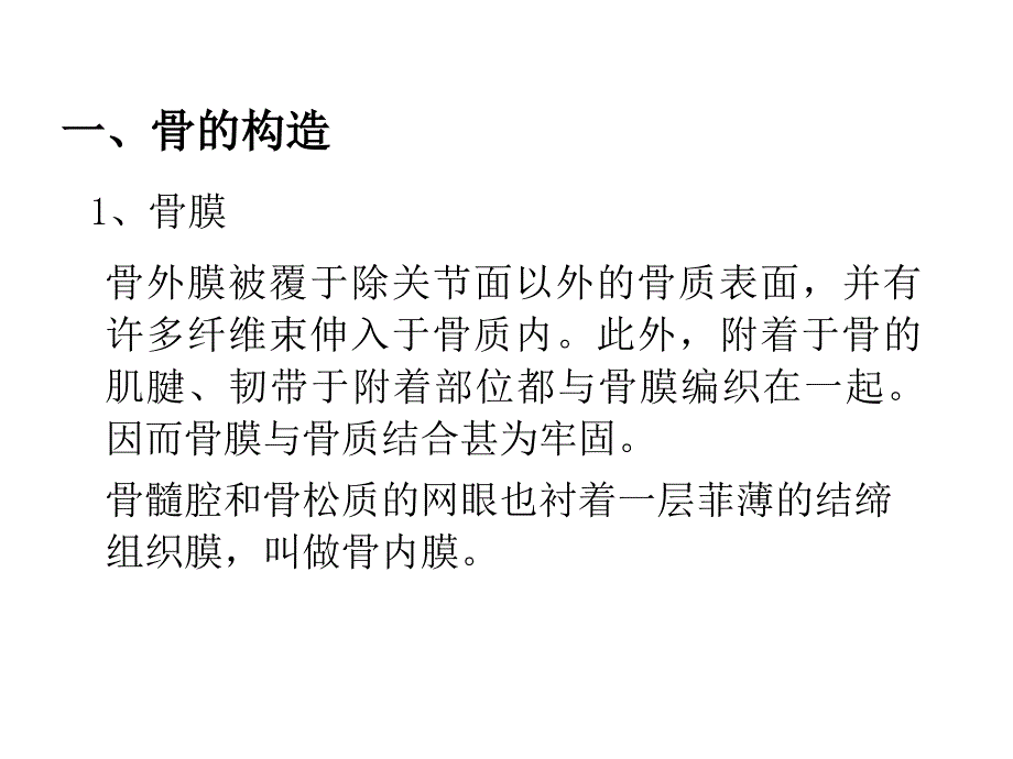 骨组织结构ppt课件.ppt_第4页