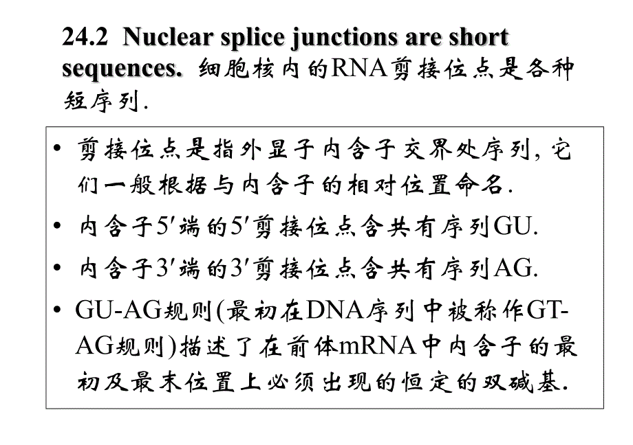 基础分子生物学课件24RNA的剪切与加工_第4页