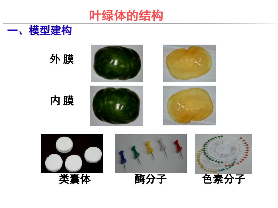 叶绿体的结构_第3页