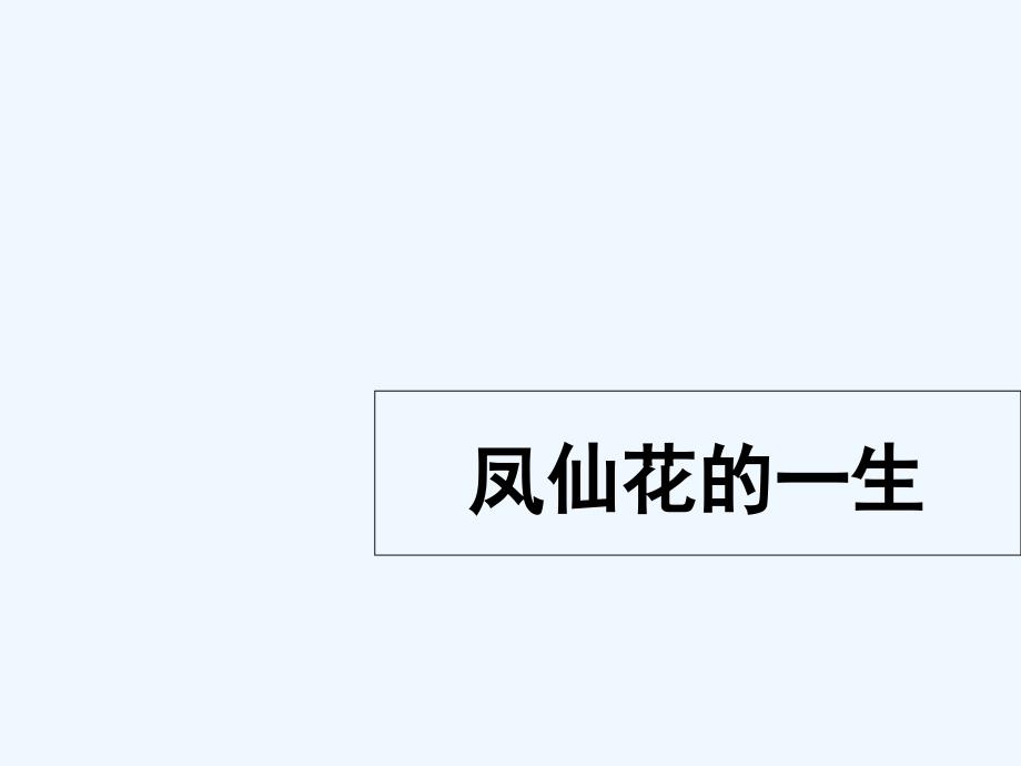 小学三年级科学下册《凤仙花的一生》教学课件_第1页