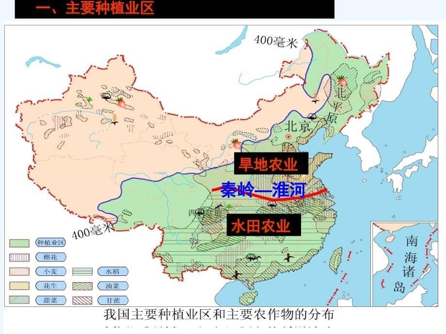 初中二年级地理上册中国的农业_第5页