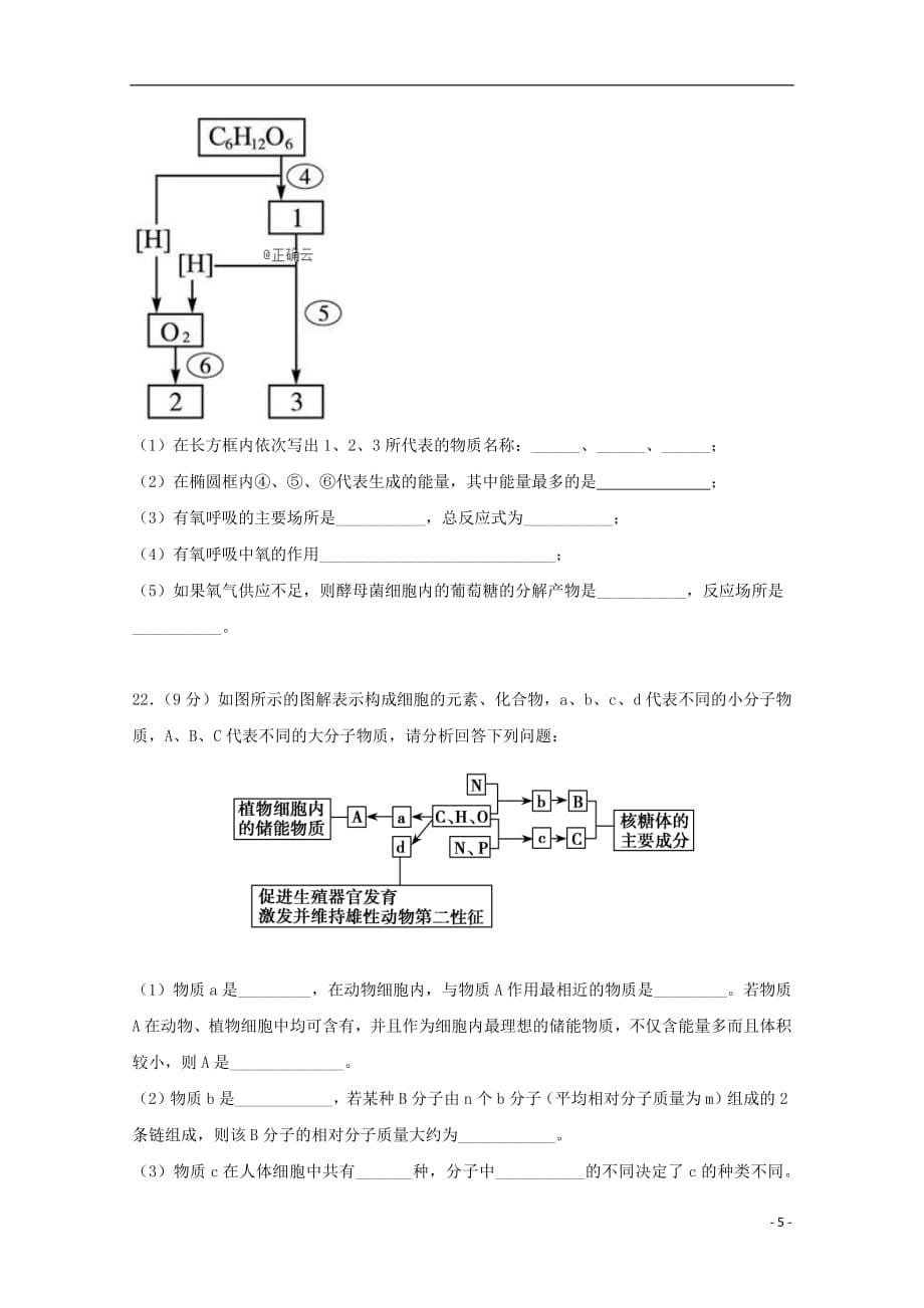 西藏日喀则市南木林高级中学高一生物上学期期末考试试题_第5页