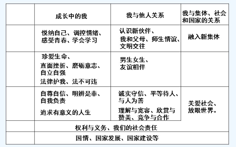 道德与法治初中三年级总复习指导_第4页