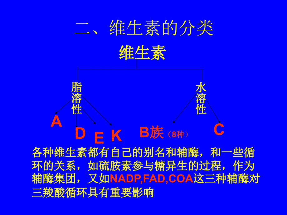 维生素的特点及在加工过程中的损失图文ppt课件.ppt_第3页