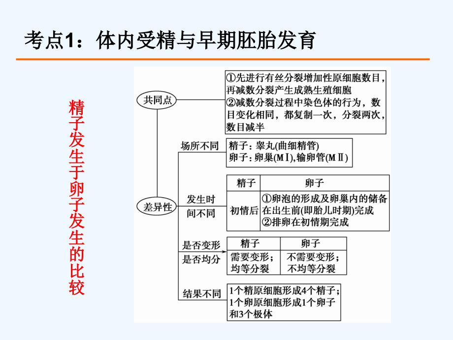 胚胎工程高三一轮复习公开课_第3页