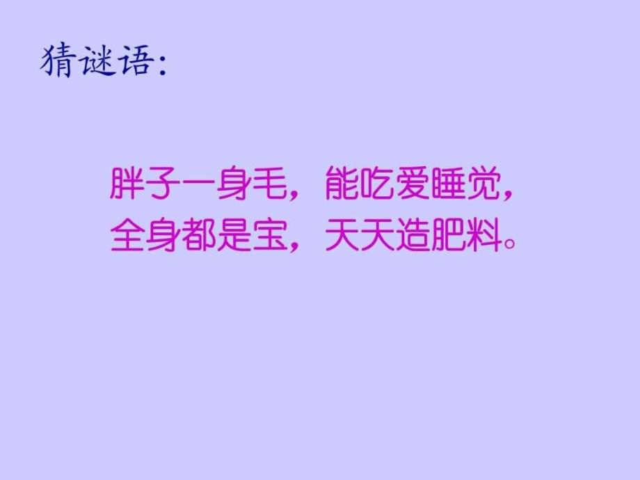 小学二年级二期品德与生活我和动物交朋友_第1页